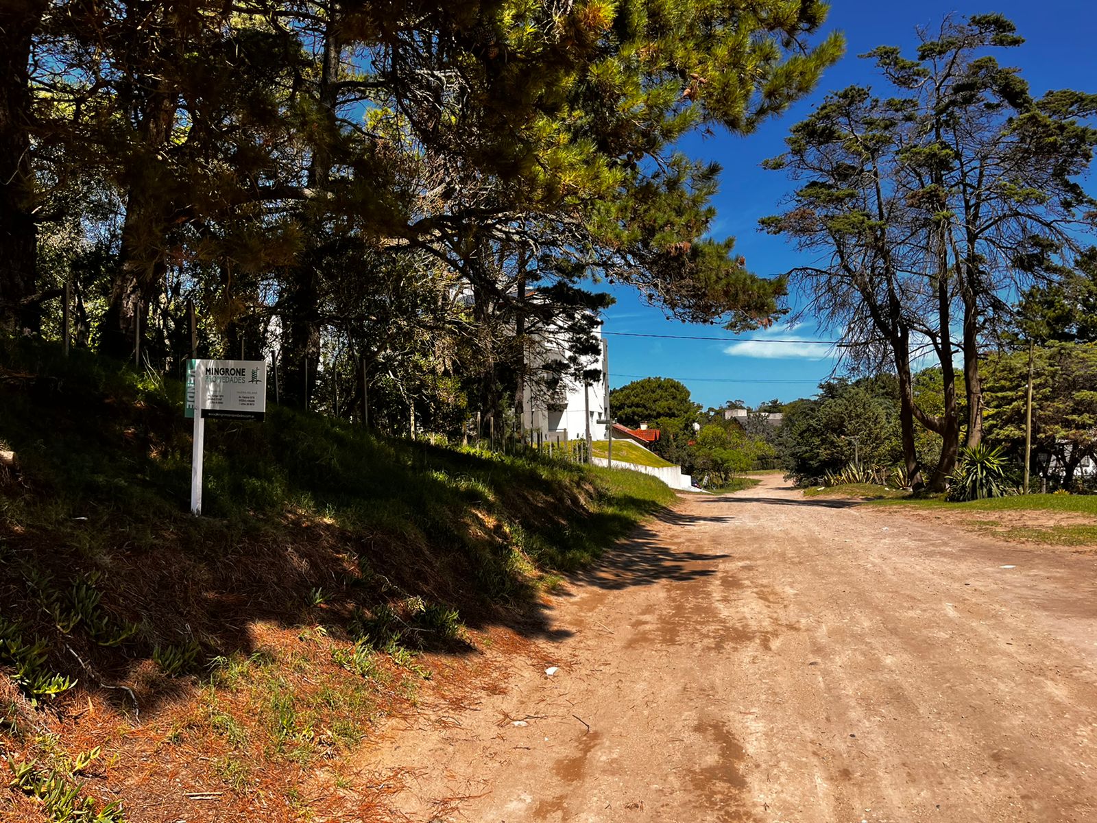 Cod 388 – Lote Multifamiliar / Hotelero (P)