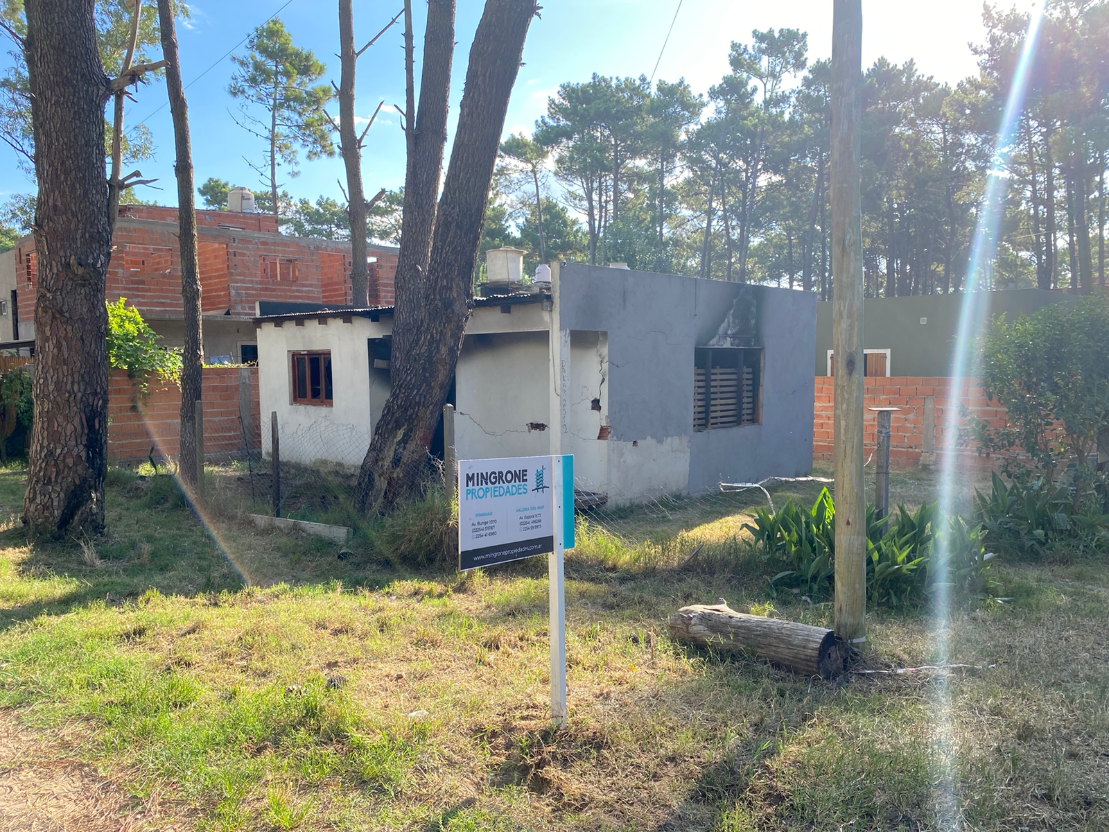 Cod 163 – Lote Dakar y Pringles (P)