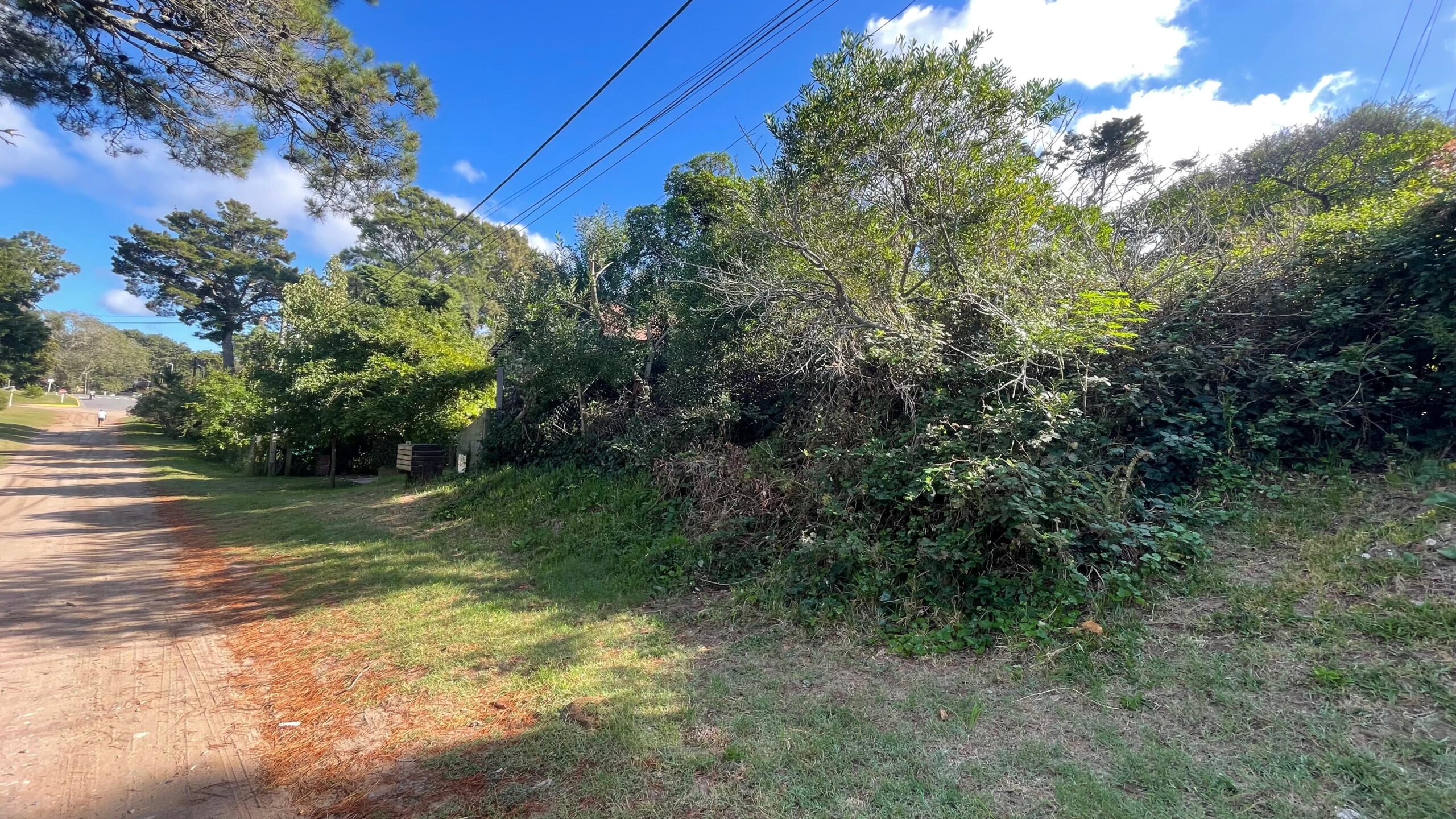 Cod 397 – Lote Pinedo