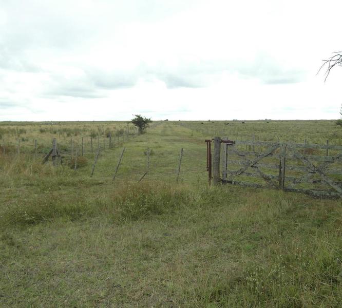 Cod 1048- Campo 176 en General Lavalle (34)
