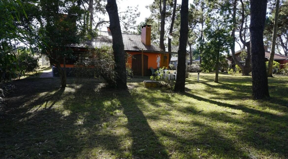 Garay 534 - 19